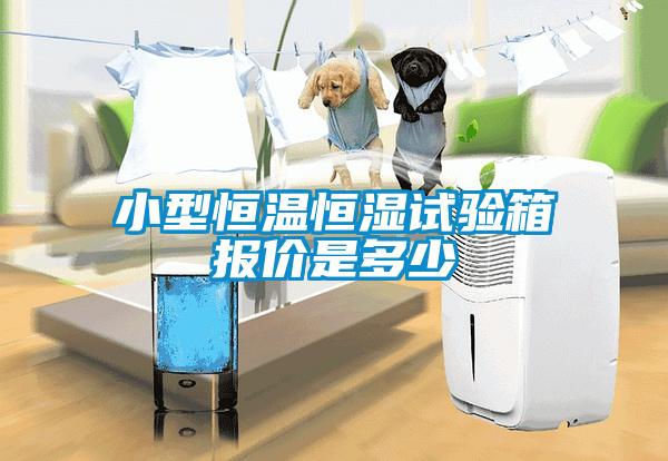 小型恒溫恒濕試驗(yàn)箱報價是多少