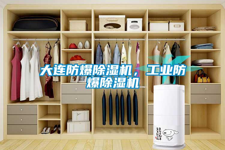 大連防爆除濕機，工業(yè)防爆除濕機