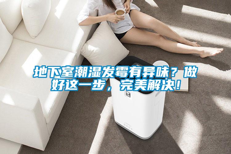 地下室潮濕發(fā)霉有異味？做好這一步，完美解決！