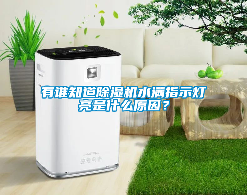 有誰(shuí)知道除濕機(jī)水滿指示燈亮是什么原因？