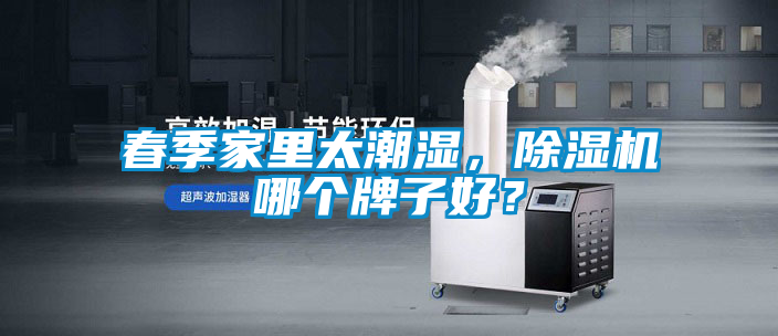 春季家里太潮濕，除濕機(jī)哪個(gè)牌子好？