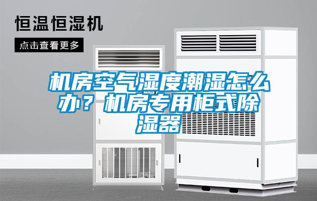 機房空氣濕度潮濕怎么辦？機房專用柜式除濕器