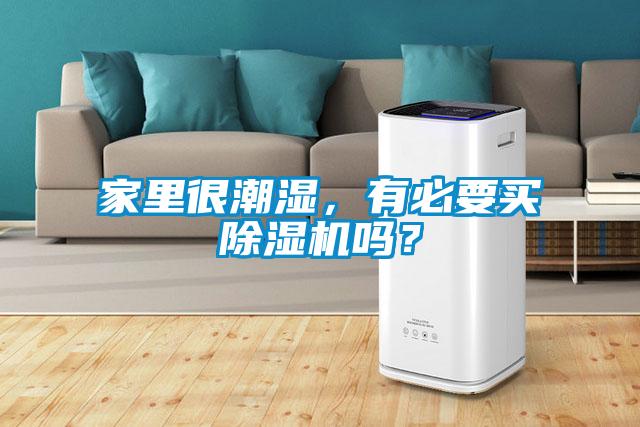 家里很潮濕，有必要買除濕機嗎？