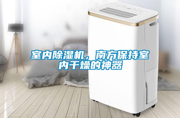 室內除濕機，南方保持室內干燥的神器