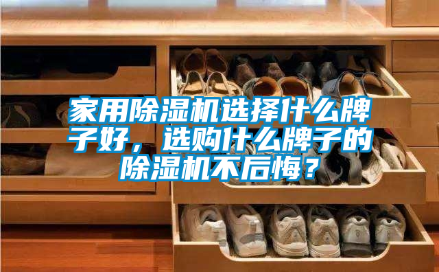 家用除濕機(jī)選擇什么牌子好，選購什么牌子的除濕機(jī)不后悔？