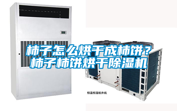 柿子怎么烘干成柿餅？柿子柿餅烘干除濕機