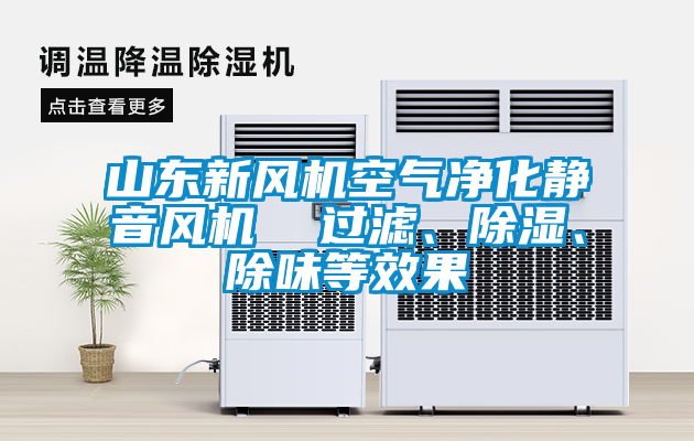 山東新風(fēng)機空氣凈化靜音風(fēng)機  過濾、除濕、除味等效果