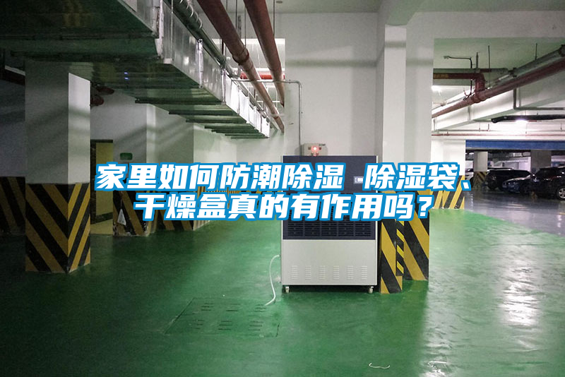 家里如何防潮除濕 除濕袋、干燥盒真的有作用嗎？
