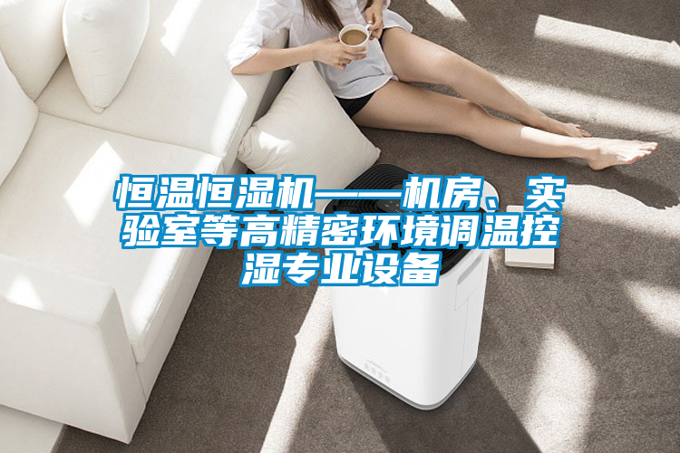 恒溫恒濕機——機房、實驗室等高精密環(huán)境調(diào)溫控濕專業(yè)設(shè)備