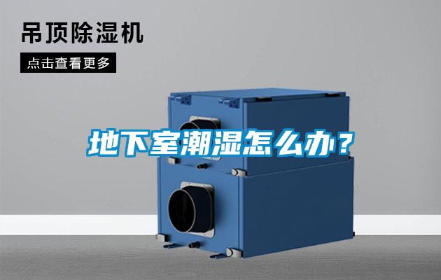 地下室潮濕怎么辦？
