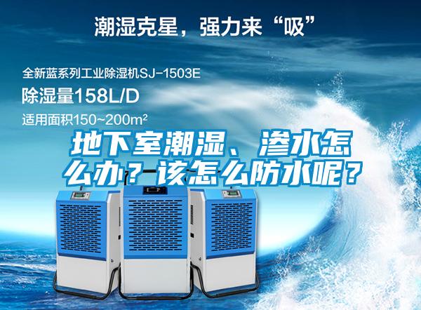 地下室潮濕、滲水怎么辦？該怎么防水呢？