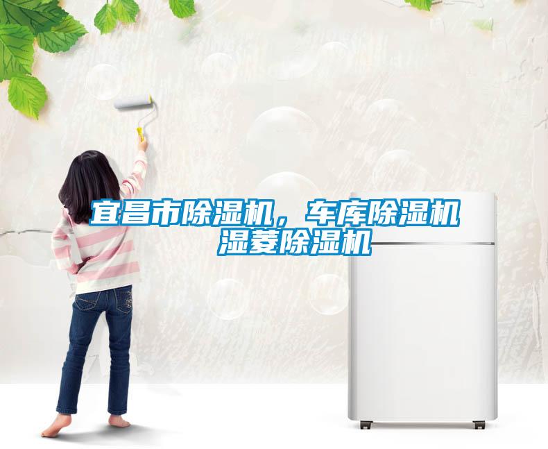 宜昌市除濕機(jī)，車庫除濕機(jī)  濕菱除濕機(jī)