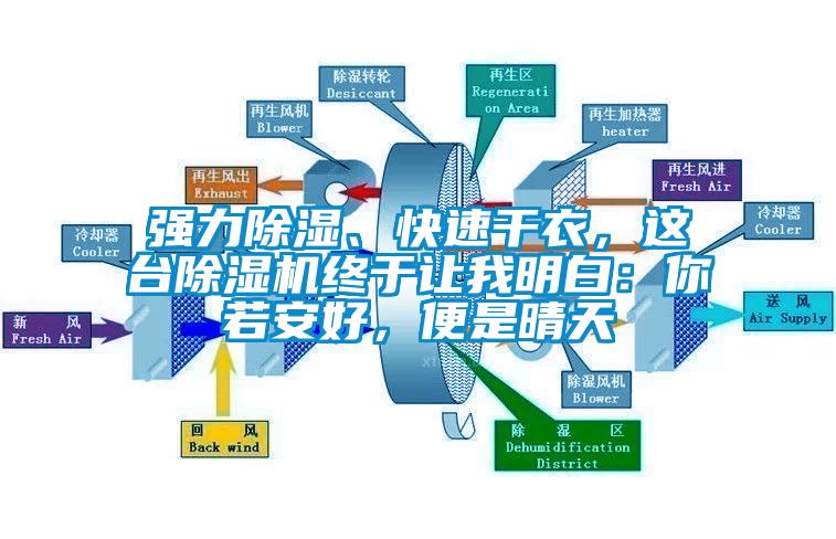 強力除濕、快速干衣，這臺除濕機終于讓我明白：你若安好，便是晴天