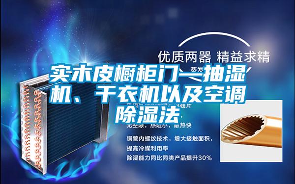 實木皮櫥柜門—抽濕機、干衣機以及空調除濕法