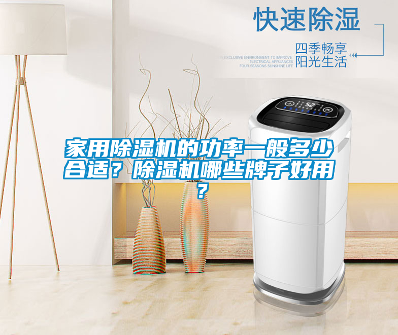 家用除濕機的功率一般多少合適？除濕機哪些牌子好用？