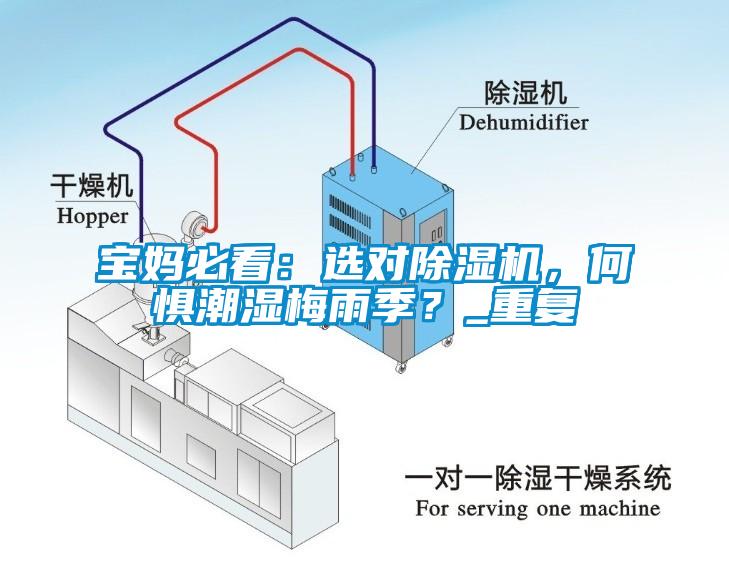 寶媽必看：選對除濕機，何懼潮濕梅雨季？_重復
