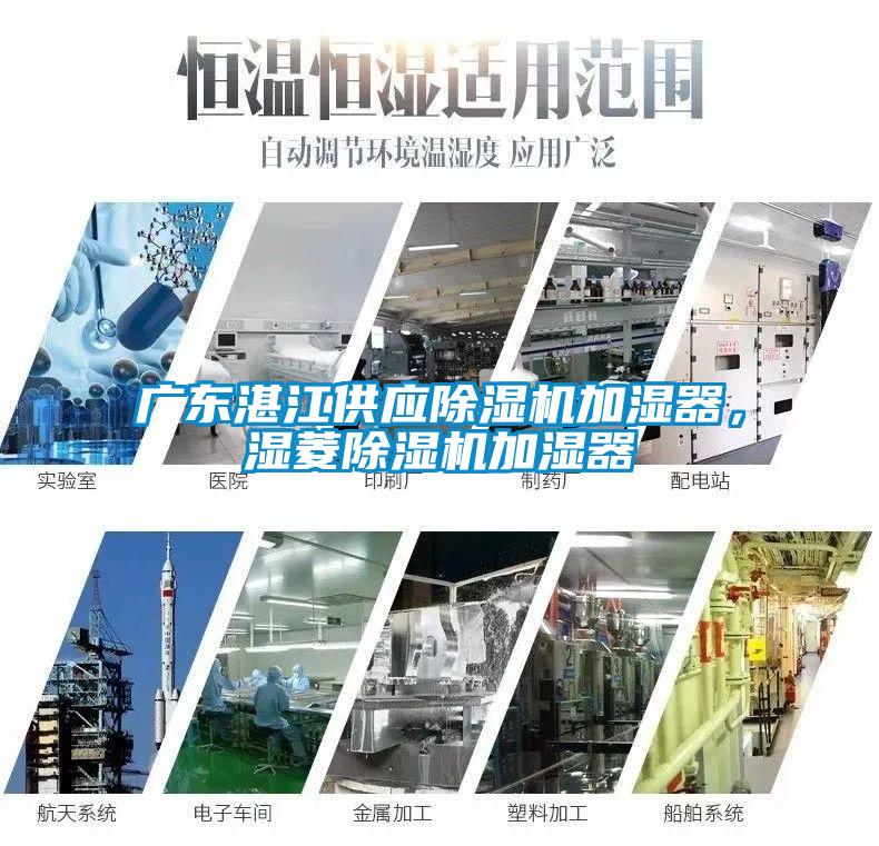 廣東湛江供應除濕機加濕器，濕菱除濕機加濕器