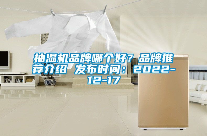 抽濕機品牌哪個好？品牌推薦介紹 發布時間：2022-12-17