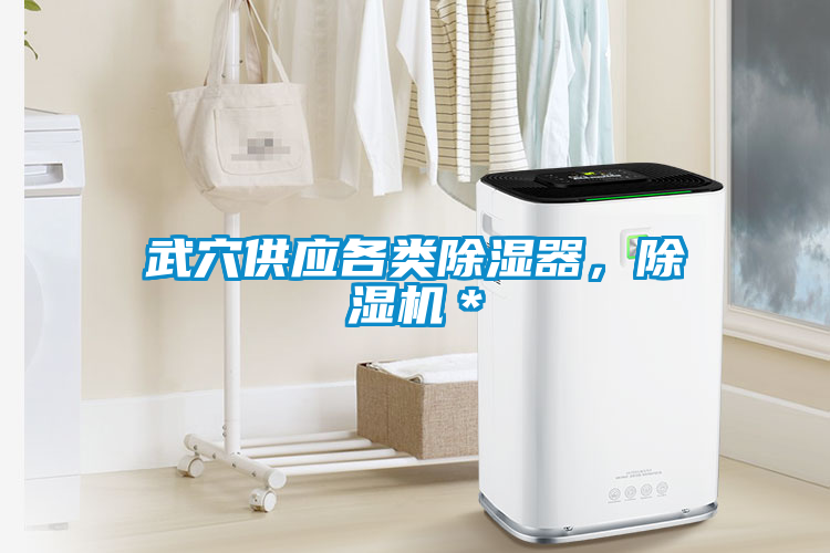武穴供應各類除濕器，除濕機＊
