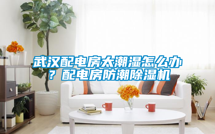 武漢配電房太潮濕怎么辦？配電房防潮除濕機
