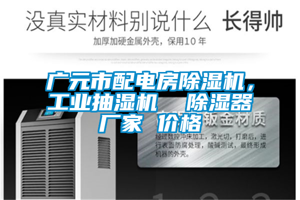 廣元市配電房除濕機(jī)，工業(yè)抽濕機(jī)  除濕器廠家 價格