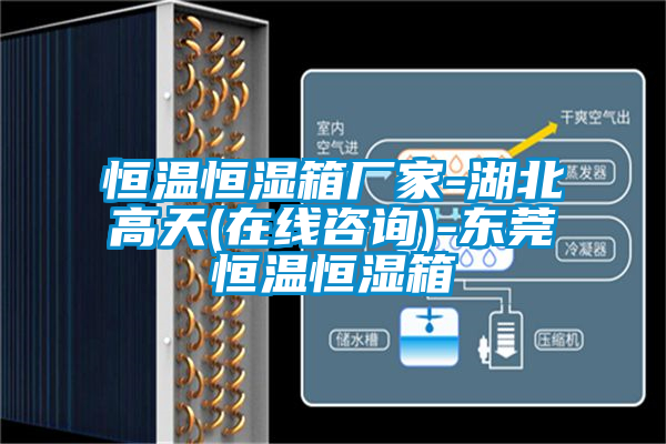 恒溫恒濕箱廠家-湖北高天(在線(xiàn)咨詢(xún))-東莞恒溫恒濕箱