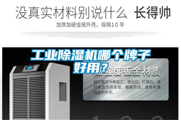 工業除濕機哪個牌子好用？