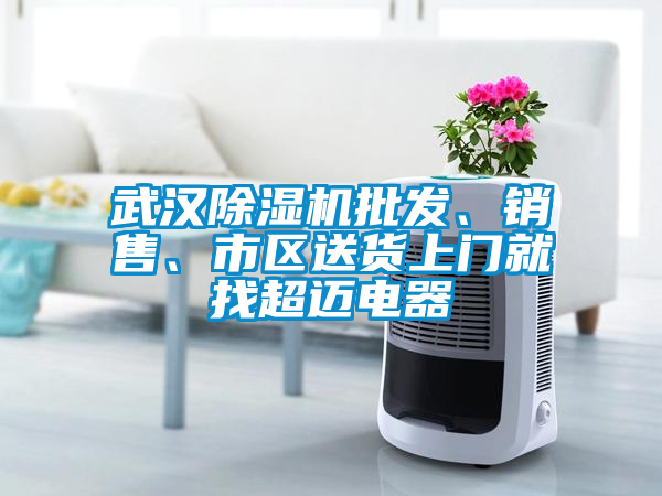武漢除濕機批發、銷售、市區送貨上門就找超邁電器