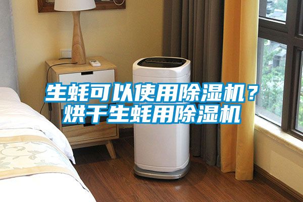 生蠔可以使用除濕機？烘干生蠔用除濕機