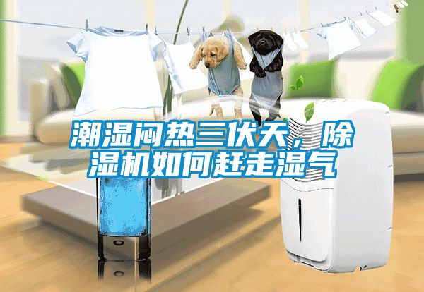 潮濕悶熱三伏天，除濕機如何趕走濕氣