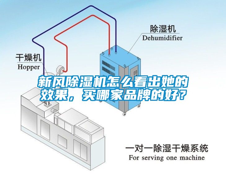 新風(fēng)除濕機(jī)怎么看出她的效果，買(mǎi)哪家品牌的好？