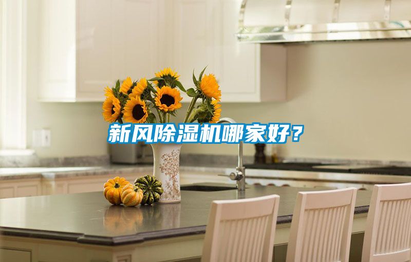 新風除濕機哪家好？