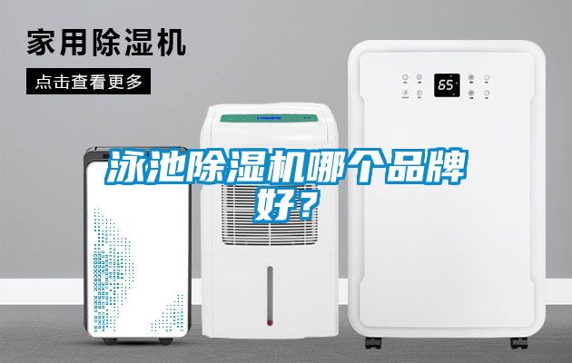 泳池除濕機哪個品牌好？