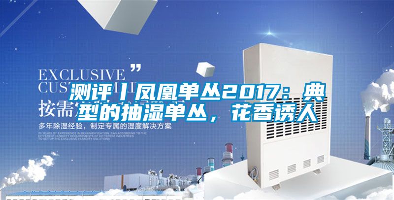 測評丨鳳凰單叢2017：典型的抽濕單叢，花香誘人