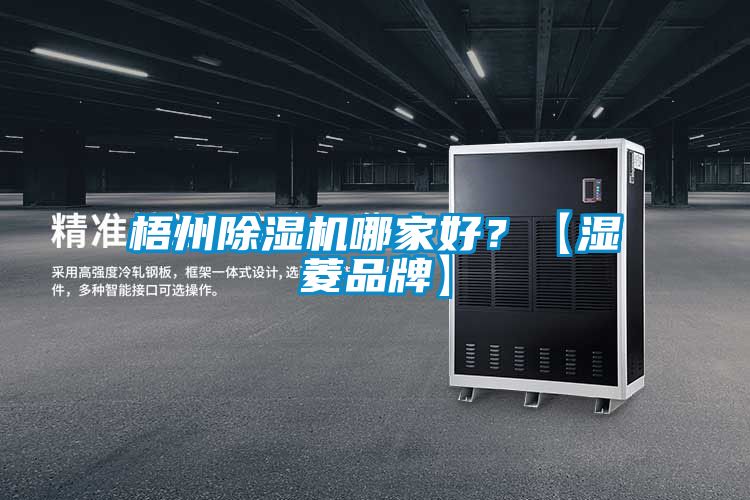 梧州除濕機哪家好？【濕菱品牌】