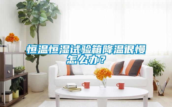 恒溫恒濕試驗箱降溫很慢怎么辦？