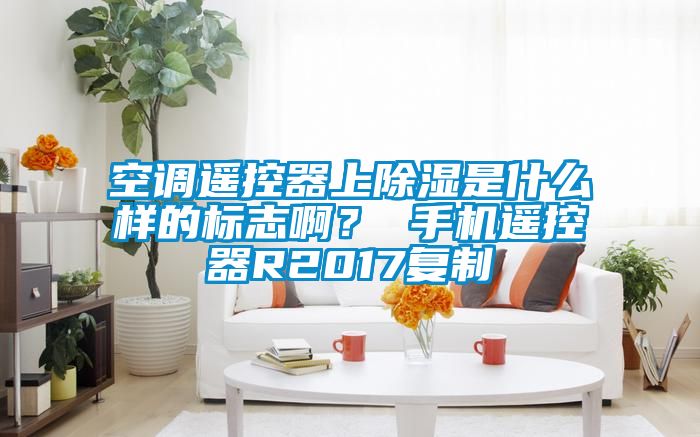 空調遙控器上除濕是什么樣的標志??？ 手機遙控器R2017復制