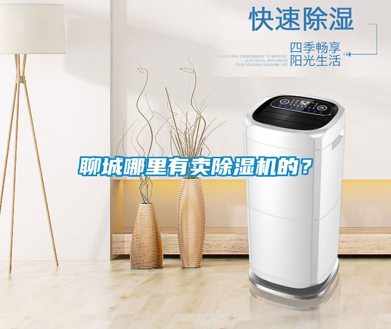 聊城哪里有賣除濕機的？