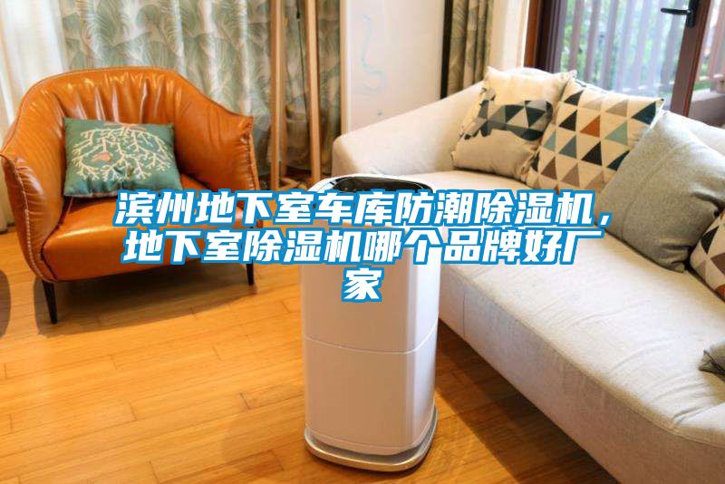 濱州地下室車(chē)庫(kù)防潮除濕機(jī)，地下室除濕機(jī)哪個(gè)品牌好廠(chǎng)家