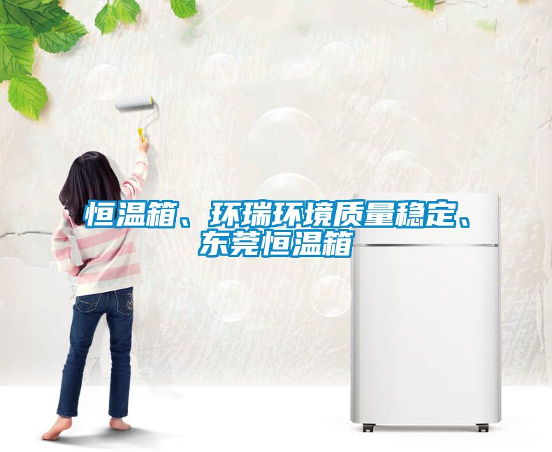 恒溫箱、環瑞環境質量穩定、東莞恒溫箱
