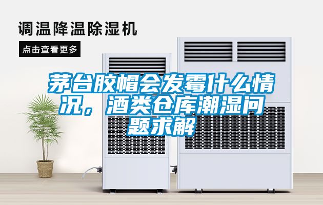 茅臺膠帽會發霉什么情況，酒類倉庫潮濕問題求解