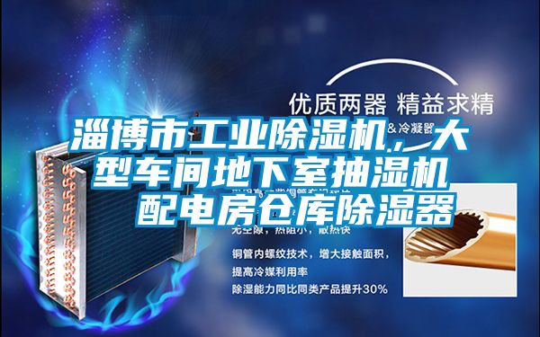 淄博市工業(yè)除濕機(jī)，大型車間地下室抽濕機(jī)  配電房倉庫除濕器