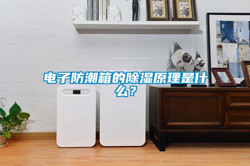 電子防潮箱的除濕原理是什么？