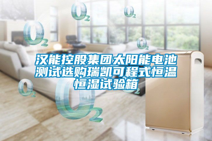 漢能控股集團(tuán)太陽能電池測試選購瑞凱可程式恒溫恒濕試驗箱