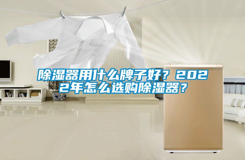 除濕器用什么牌子好？2022年怎么選購除濕器？