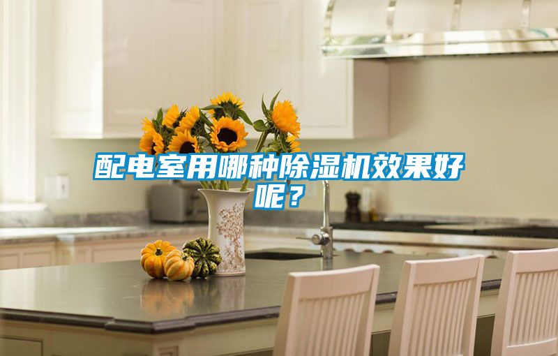 配電室用哪種除濕機效果好呢？
