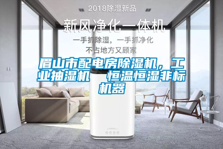 眉山市配電房除濕機，工業(yè)抽濕機  恒溫恒濕非標(biāo)機器
