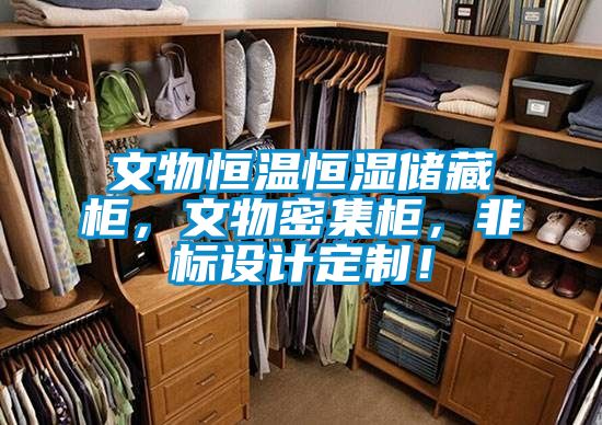 文物恒溫恒濕儲藏柜，文物密集柜，非標設計定制！