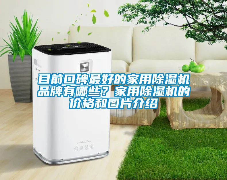 目前口碑最好的家用除濕機品牌有哪些？家用除濕機的價格和圖片介紹