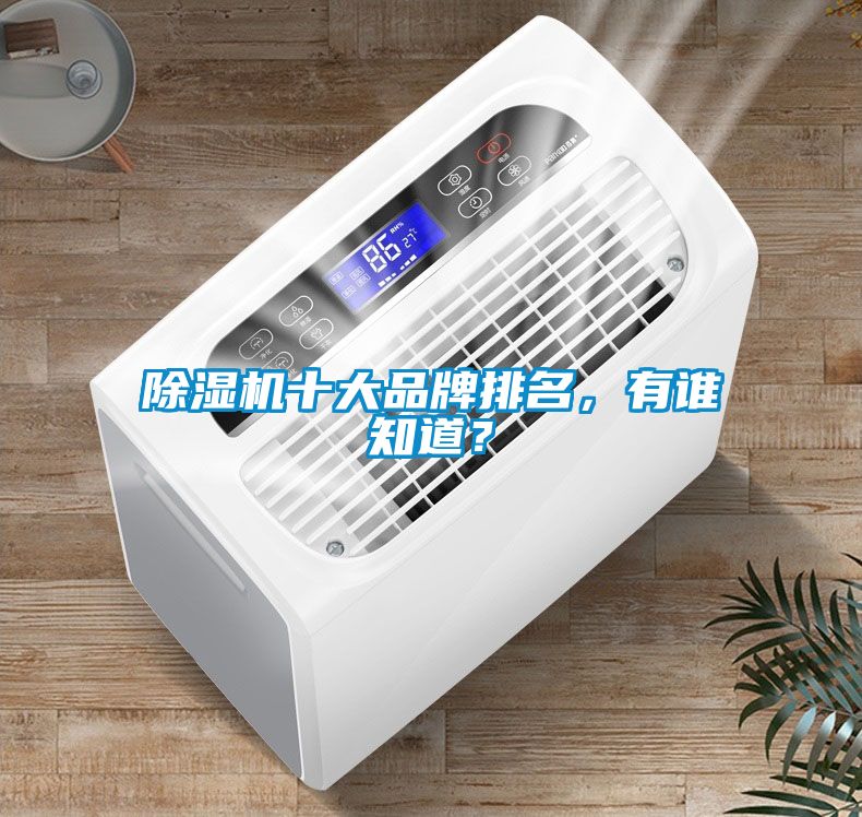 除濕機十大品牌排名，有誰知道？